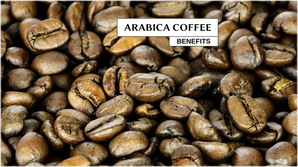 Arabica Coffee Beans