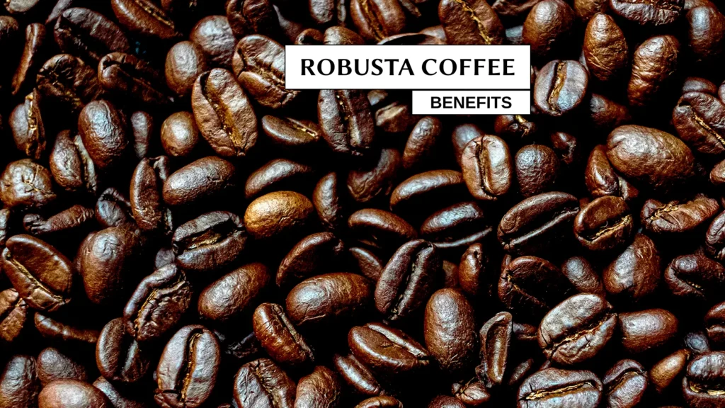 Robusta Coffee Beans